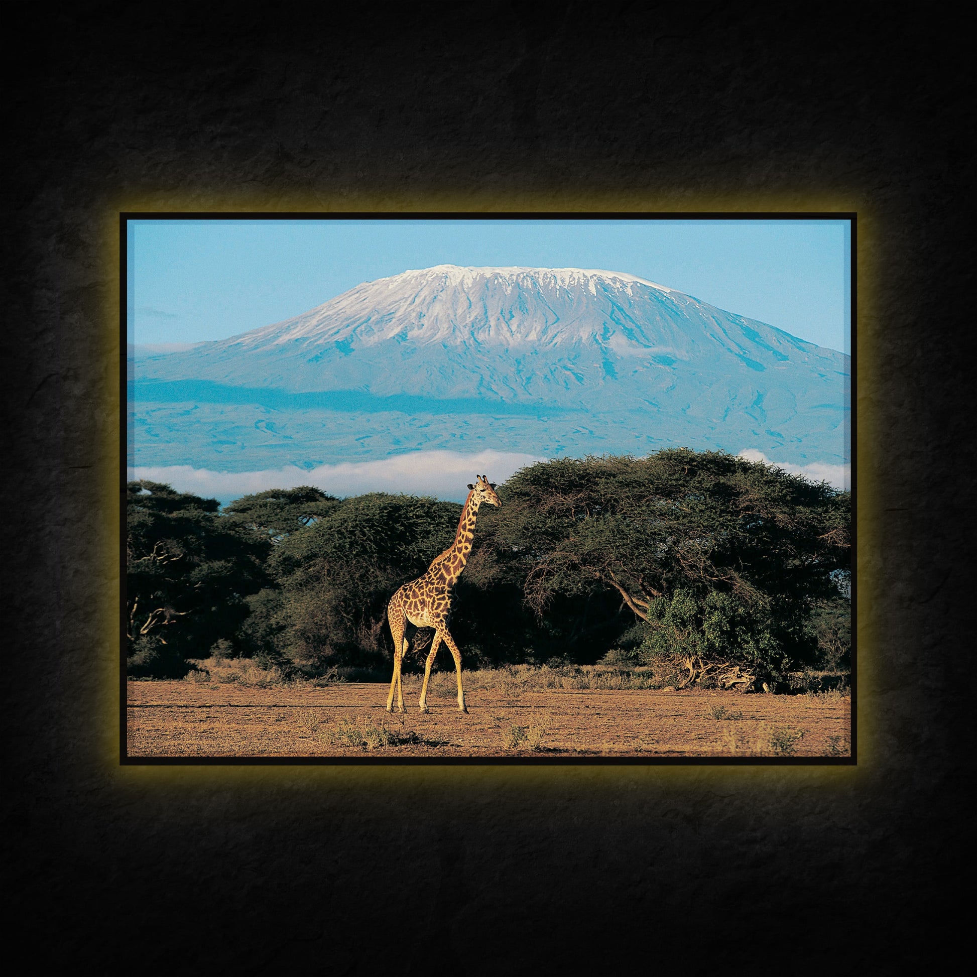 Giraffe vor dem Kilimandscharo - LED Wandbild - Licht Held